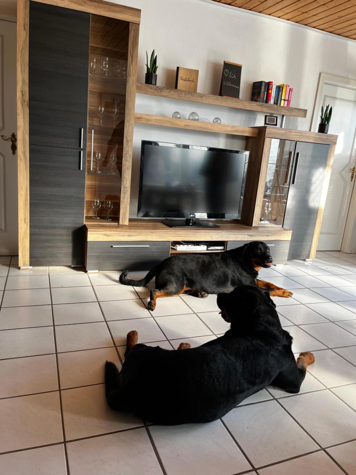 Zur Fellnase Villa Horka Exteriör bild